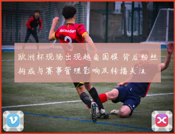 欧洲杯现场出现越南国旗 背后粉丝构成与赛事管理影响及转播关注