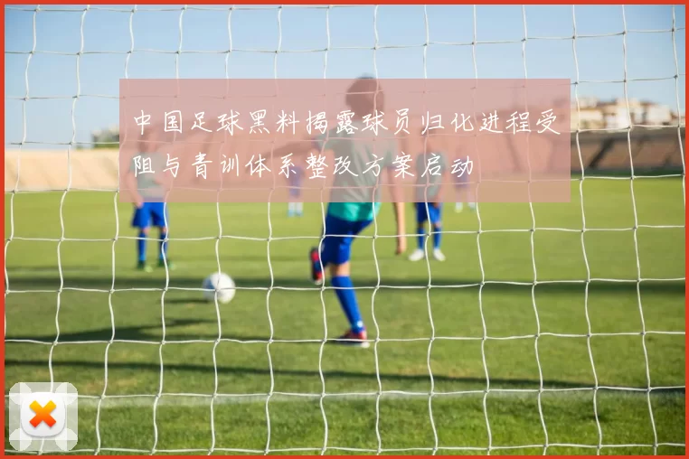 中国足球黑料揭露球员归化进程受阻与青训体系整改方案启动