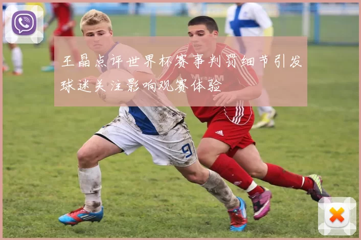 王晶点评世界杯赛事判罚细节引发球迷关注影响观赛体验