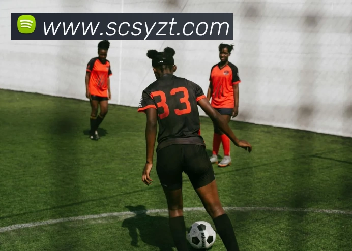 开云app登录入口 - 开云(中国)平台生态图