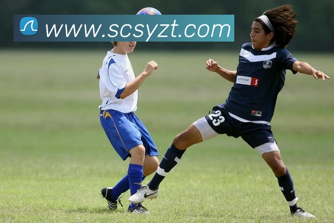 开云app登录入口 - 开云(中国)APP 封面图